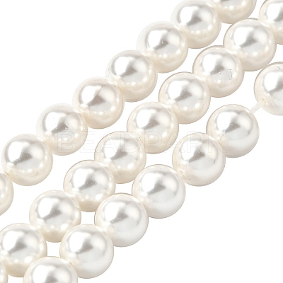 Rainbow Plated Shell Pearl Bead Strands BSHE-L025-02-6mm-1