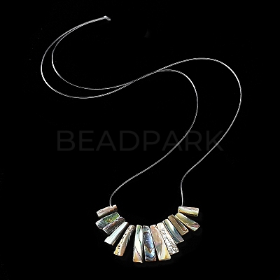 Rectangle Natural Abalone Shell/Paua ShellGraduated Beads Strands SSHEL-P002-05B-1