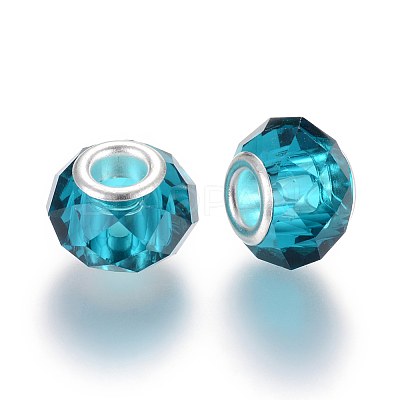 Handmade Glass European Beads LS-X-GPDL25Y-77-1