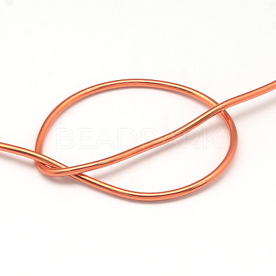 Round Anodized Aluminum Wire AW-S001-6.0mm-12-1