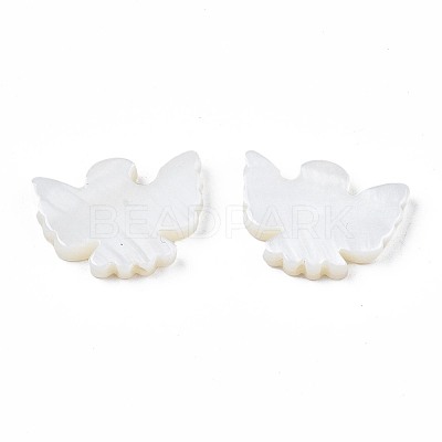 Natural Freshwater Shell Beads X-SHEL-N026-76-01-1