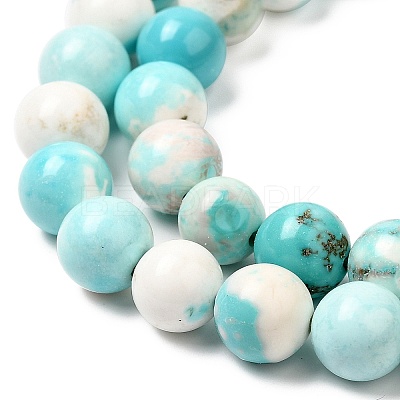 Natural Magnesite Beads Strands G-L555-02C-02-1