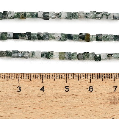 Natural Moss Agate Beads Strands GG-CBA2498-A04-01-1