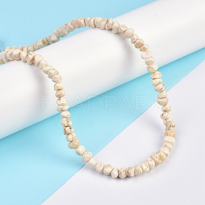 Natural Magnesite Beads Strands TURQ-P001-02A-11-1
