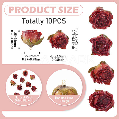 10Pcs Preserved Rose Pendants KY-TA0001-59C-1