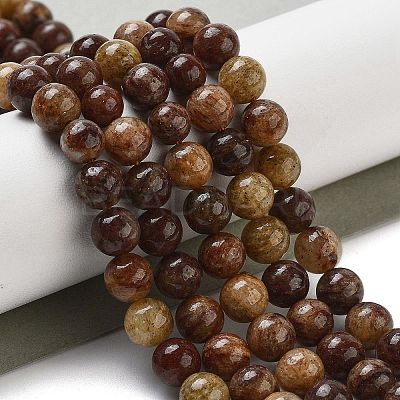Natural Gemstone Beads Strands G-H045-A01-10MM-1