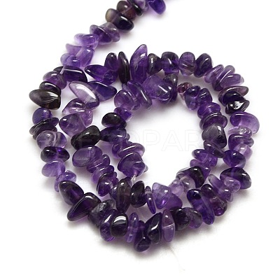 Natural Amethyst Chips Beads Strands G-P030-02-1