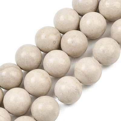 Natural Petrified Wood Beads Strands G-L648-A03-16mm-01-1