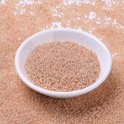 MIYUKI Round Rocailles Beads X-SEED-G007-RR0580-1