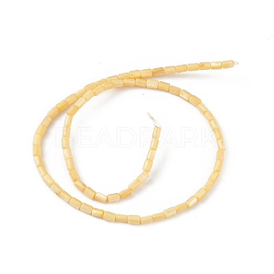 Natural Freshwater Shell Dyed Beads Strands X-SHEL-M018-12-01-1
