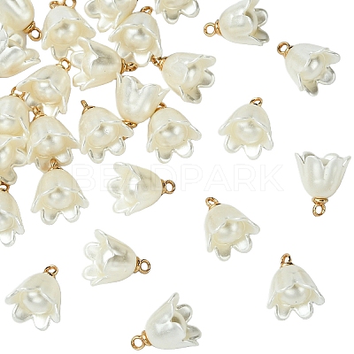 30Pcs Opaque Resin Imitation Pearl Charms FIND-YW0009-02-1