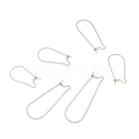 Stainless Steel Hoop Earring Findings STAS-WH0014-34D-P-1