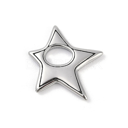 316 Surgical Stainless Steel Pendants X-STAS-G349-17P-1