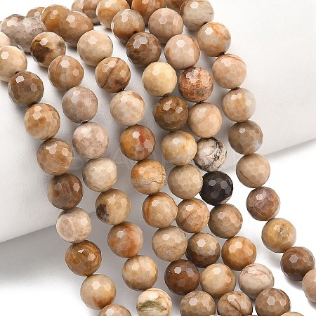 Natural Petrified Wood Beads Strands G-L642-F09-8mm-1