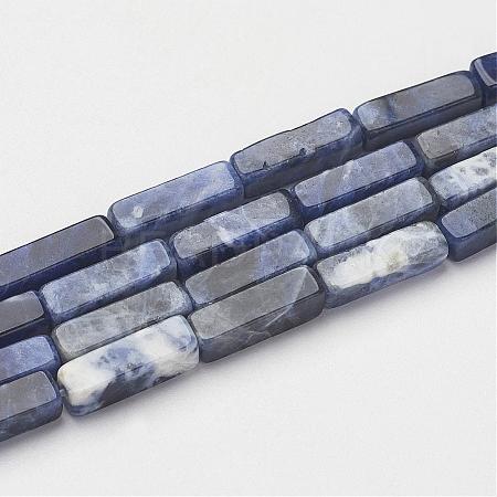 Natural Sodalite Beads Strands G-G968-D02-1