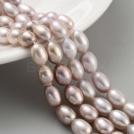 Natural Cultured Freshwater Pearl Beads Strands PEAR-P062-10E-1