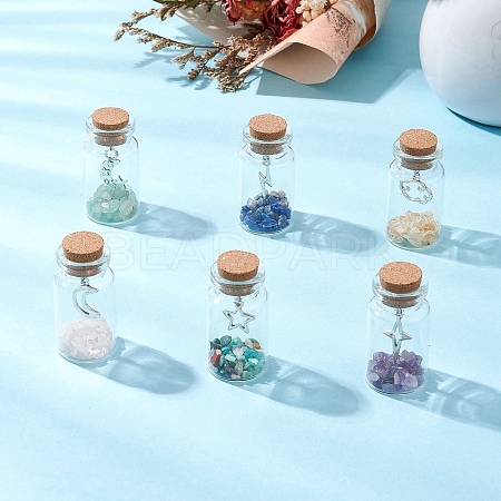 6Pcs Glass Wish Bottle Display Decoration PALLOY-JF03644-1