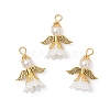 ABS Plastic Pendants PALLOY-JF04313-1