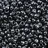 TOHO 6/0 Round Beads SEED-XTR06-0081-3