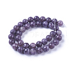 Natural Lepidolite/Purple Mica Stone Beads Strands G-I244-01A-2