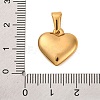 304 Stainless Steel Pendants STAS-P278-01C-G-1-3