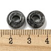 Natural Larvikite Beads G-Q173-03A-15-3