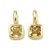 Brass Micro Pave Cubic Zirconia Charms KK-G555-21G-09-1