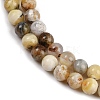 Natural Yellow Opal Beads Strands G-G992-A02-B-3