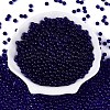 FGB Transparent Glass Seed Beads SEED-N013-01A-03-2