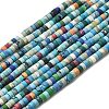 Dyed Synthetic Turquoise Beads Strands G-Z089-A04-R-3