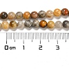 Natural Crazy Lace Agate Round Bead Strands G-M272-03-4mm-2