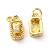 Real 18K Gold Plated Brass Inlaid Cubic Zirconia Charms ZIRC-L100-075G-06-2