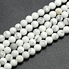 Frosted Howlite Round Bead Strands G-M064-6mm-12-1