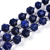Natural Lapis Lazuli Beads Strands G-O201B-25-1-1