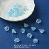 Glass Beads GLAA-YW0003-37G-2