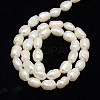 Natural Cultured Freshwater Pearl Beads Strands PEAR-L001-A-20-3