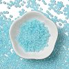 Glass Seed Beads X1-SEED-H002-E-A1411-2