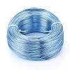 Anodized Aluminum Wire AW-S001-0.6mm-19-1