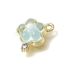 Brass & Resin & Rhinestone Pendants RE-CBAE379-18LG-2
