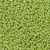 MIYUKI Round Rocailles Beads X-SEED-G009-RR0439-3
