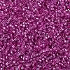 MIYUKI Delica Beads SEED-X0054-DB2153-3