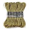 10 Skeins 12-Ply Metallic Polyester Embroidery Floss OCOR-Q057-A12-1