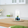 Glass Cloche Dome Covers GLAA-WH0057-07-5