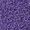MIYUKI Delica Beads SEED-X0054-DB1347-4