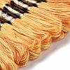 10 Skeins 6-Ply Polyester Embroidery Floss OCOR-K006-A29-2