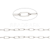 Tarnish Resistant 304 Stainless Steel Paperclip Chains CHS-F010-01H-P-1