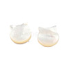 Natural White Shell Beads SSHEL-N003-142-4