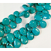 Natural Magnesite Beads Strands TURQ-K003-28B-2