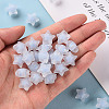 Transparent Acrylic Beads TACR-S152-02C-SS2113-5
