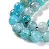 Natural Agate Beads Strands G-M437-C01-01N-4